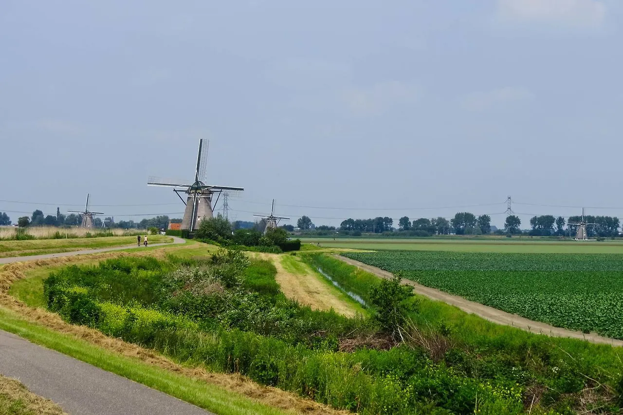 De Strandgaper Zevenhuizen  Pays-Bas